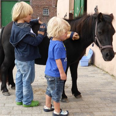 Kinder Pony