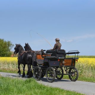 Reiten